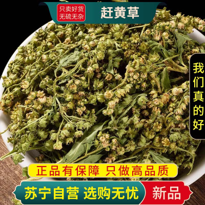 甄选干货赶黄草100克无硫正品扯根菜杨柳水泽兰水滓蓝煮水泡茶