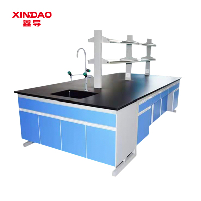 鑫导 实验台 SYT207-钢木中央台定制 米