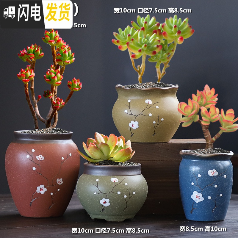 三维工匠手造多肉花盆大粗陶透气复古创意个性老桩肉肉植物高盆大口径 DL手造-17组合4个 中等花盆容器