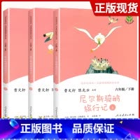 [6下]尼尔斯骑鹅旅行记(上中下)3本 [正版]快乐读书吧六年级上册下册全套爱的教育小英雄雨来童年鲁滨逊漂流记爱丽丝漫游