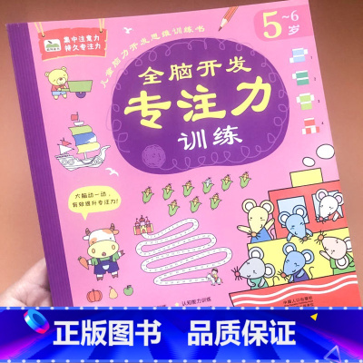 [正版]晨风童书全脑开发专注力训练5~6岁宝宝逻辑训练书幼儿园启蒙早教专注力训练书 儿童左右脑开发找不同幼儿书籍3-6