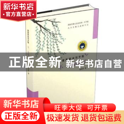 正版 不一样的日子(大字版)/童喜喜说写手账 童喜喜 中国盲文出版