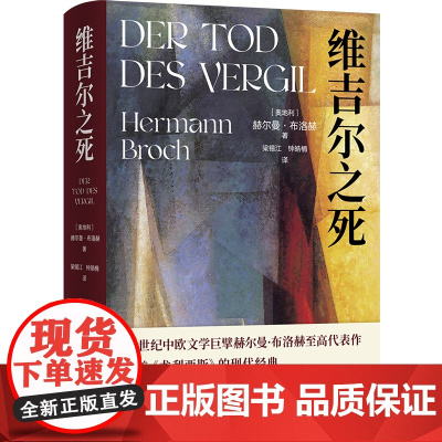 维吉尔之死 赫尔曼·布洛赫著 媲美《尤利西斯》的现代经典