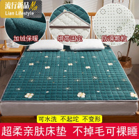 羊羔绒法兰绒床垫软垫加厚床褥垫秋冬保暖双人家用可折叠宿舍单人 三维工匠