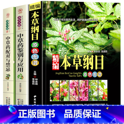 [正版]中医中草药书籍3册 精编本草纲目 中草药彩图大全 中草药配对与禁忌中草药鉴别与应用零基础学医养生调理医药药书自
