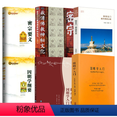 [正版]6册因明学入门+藏传佛教因明学入门+因明学纲要+密宗要义+密宗:藏传佛教神秘文化+秘密法门:藏传佛教宗派 书籍