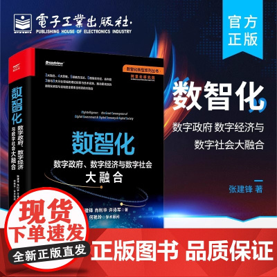 店 数智化:数字政府、数字经济与数字社会大融合 数智化转型 数智化理论实践数智化技术方法特征指引 产业互联网书籍