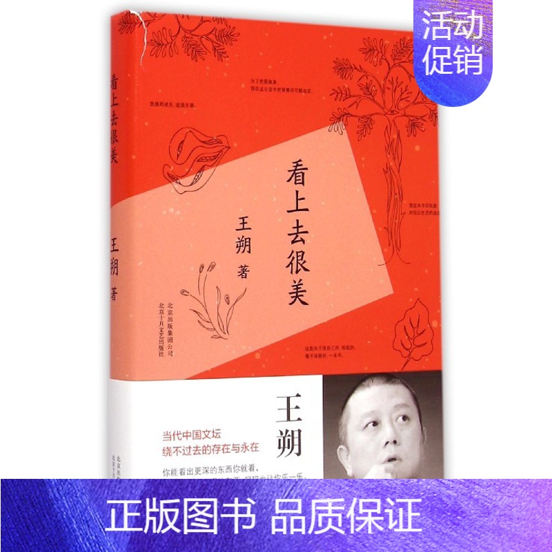 [正版]书籍看上去很美 王朔作品 致女儿书我是你爸爸一半是火焰一半是海水动物凶猛同作者中国现当代随笔散文小说书