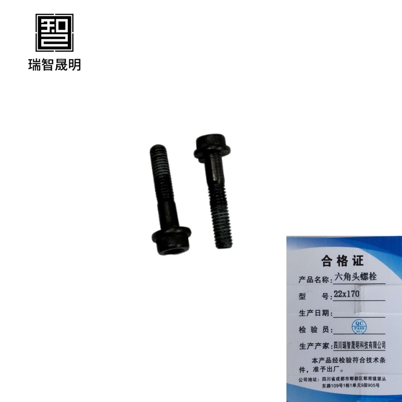 瑞智晟明(RZSM)六角头螺栓22x170
