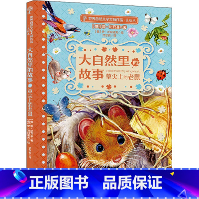 草尖上的老鼠 [正版]大自然里的故事全套8册 老树上的猫头鹰世界自然文学大师作品美绘本动物童话幻想森林报5-12岁小学生