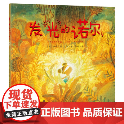 发光的诺尔湖南少年儿童出版社精装绘本2023笔墨暑假快乐读书幼儿园学前班课外书阅读