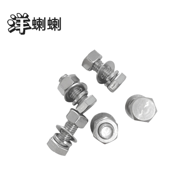 洋蝲蝲 穿钉带帽 16*50mm 个