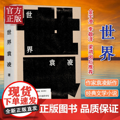 世界 袁凌 著 现当代文学书籍书排行榜经典文学小说 中信出版社