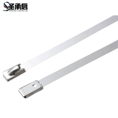 圣承启 自锁式扎带 10*550mm根