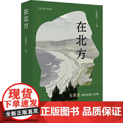 在北方(张惠雯全新短篇小说集。当你爱的人和你不喜欢的生活绑在一起) 张惠雯 北京十月文艺出版社 正版书籍