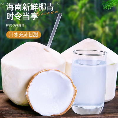 [熊猫鸟]海南椰青 9个装 新鲜椰子 当季热带水果 汁水充沛