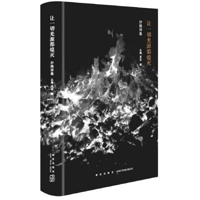 正版新书]让一切光源都熄灭:沙鸥诗集沙鸥著;止庵,亚非编;9787