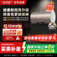 史密斯80升电热水器 国家补贴 专利免更换镁棒 金圭内胆 速热节能 CEWH-80ED3 一级能效