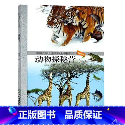 [正版]动物探秘营(下)中国少年儿童百科全书精读本11-14岁儿童文学校园课外读物 四五六年级中小学生科普百科图文并茂
