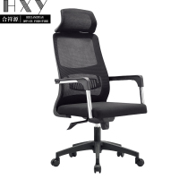 合祥源 人体工学椅办公椅电脑椅 580*620*1190mm QX-BGY96 张