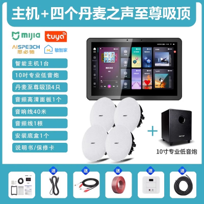先科(SAST)智能AI家庭吸顶音响家用客厅无线蓝牙智能语音主机+4个8英寸HiFi至尊同轴吸顶音响+10吋专业低音炮