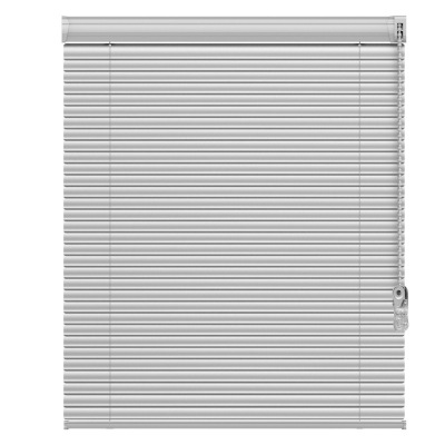 遮光窗帘 百叶窗帘 S片卷帘100*100cm