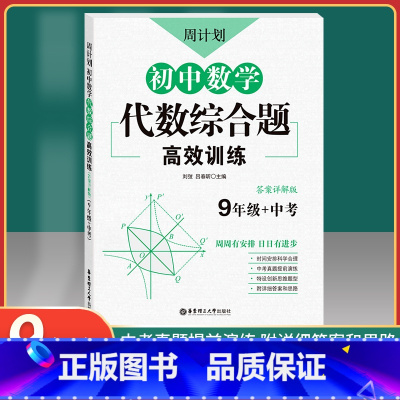 [正版]周计划 初中数学代数综合题 高效训练 9年级+中考 答案详解版 九年级初中数学代数综合题高效训练 中考真题模拟