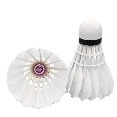 虔羽羽毛球R4 桶