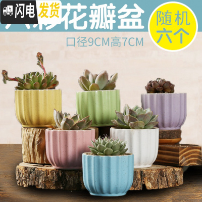 三维工匠多肉花盆陶瓷创意个性粗陶肉肉植物盆器大口径小花盆 乳白色六彩花瓣6个 中小花盆容器
