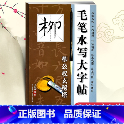 [正版]!毛笔水写大字帖 柳公权玄秘塔 毛笔书法字帖 柳体楷书 川美