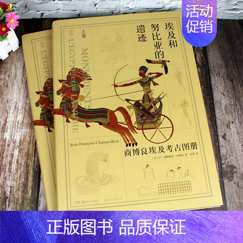 [正版]2本套装 埃及和努比亚的遗迹 商博良埃及考古图册上下 壁画考古世界历史文化艺术美术彩色插图大学生研究生古埃及基础