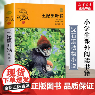 王妃黑叶猴 升级版 沈石溪动物小说正版品藏书系 小学生三年级四年级课外书7-8-9-10岁寒暑假课外书阅读浙江少年儿童出