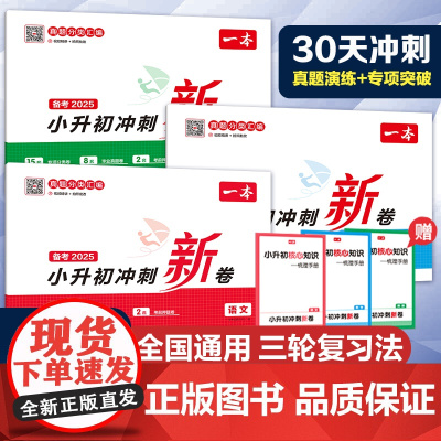 2025一本小升初冲刺新卷语文数学英语人教版小升初真题卷小学六年级下册试卷测试卷全套专项训练总复习必刷题分类模拟期末冲刺