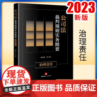 2023新书 公司法裁判规则实务精要:治理责任 潘申明等著 法律出版社