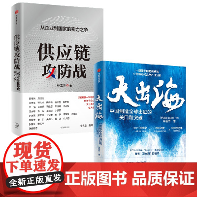 大出海+供应链攻防战 林雪萍 著 中国经济