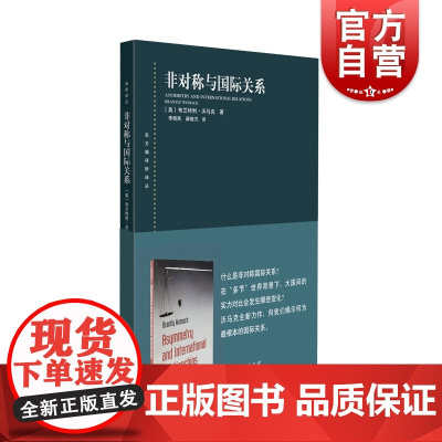 非对称与国际关系 东方编译所译丛 政治军事 上海人民出版社