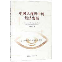 音像中国人视野中的经济发展王今朝著
