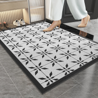 入户门地垫2024新款免洗防滑丝圈脚垫进门口家用耐脏垫子玄关地毯