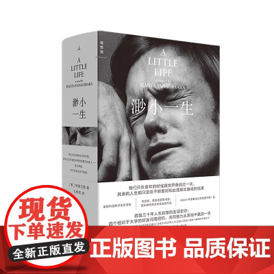 渺小一生 2025新版 柳原汉雅 蔡康永 四个好友三十年人生起落的友谊史诗 Apple年度文学类图书第1名 贵州大学