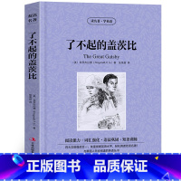 [正版]了不起的盖茨菲茨杰拉德著中英对照英汉对照中英文双语版经典世界名著外国文学长篇小说英文版英语读物初高中生课外阅读