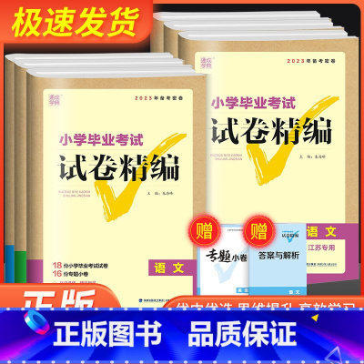 [英语]苏教版 小学升初中 [正版]通城学典小学毕业考试试卷精编小升初系统总复习卷子语文数学英语真题模拟试卷人教版小升初