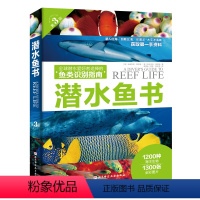 [正版]潜水鱼书 第3版 1200种海洋生物 1300张全彩图片 海洋 鱼类 潜水 科普 水下摄影 鱼类识别 北京科技