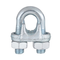 铁洋 镀锌钢丝绳卡头 M10 个