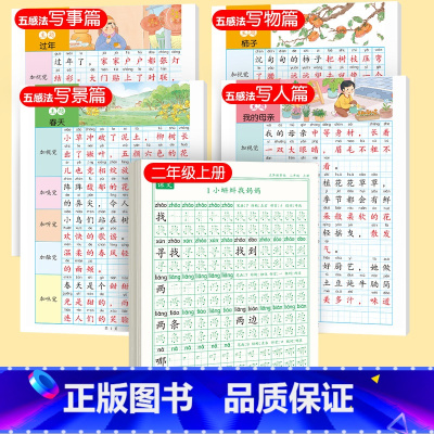 [上册]同步字帖字帖2上+五感法字帖 [正版]二年级上册下册同步练字帖语文人教版小学生硬笔书法练字本楷书笔画笔顺儿童铅笔