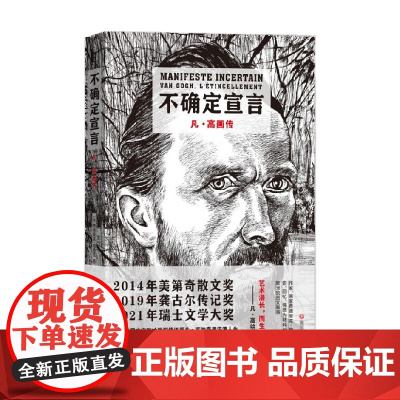 不确定宣言 凡 高画传 费德里克·帕雅克 著 动漫