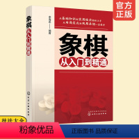 [正版] 象棋从入门到精通 初学者基本知识杀法实用残局中局战术技巧 象棋入门知识残局杀法布局战术全面掌握 象棋速学速成