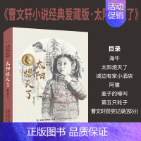 太阳熄灭了 [正版]2件53元精装水下有座城/太阳熄灭了/蓝花曹文轩小说经典爱藏版系列全集 儿童文学获奖作品故事短篇精文