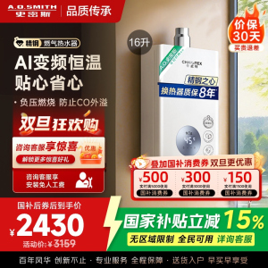 AO史密斯佳尼特16升燃气热水器佳尼特 不锈钢换热器8年包换 恒温大水量 抗风防冻 JSQ31-TC1