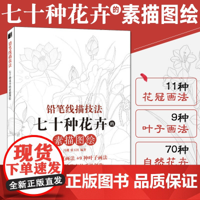 铅笔线描技法 七十种花卉 素描书零基础画画入门自学教程书籍白描线描花画册本临摹手绘初学者学绘画基础教材铅笔画美术描摹画稿