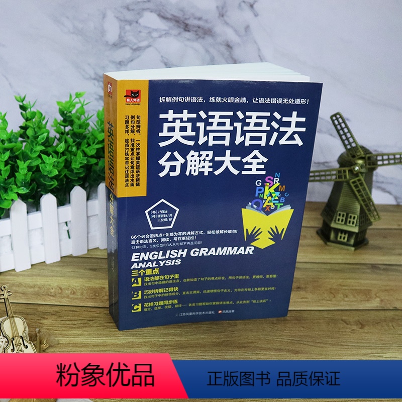 [正版]英语语法分解大全初中高中通用语法学习书从基础到提高